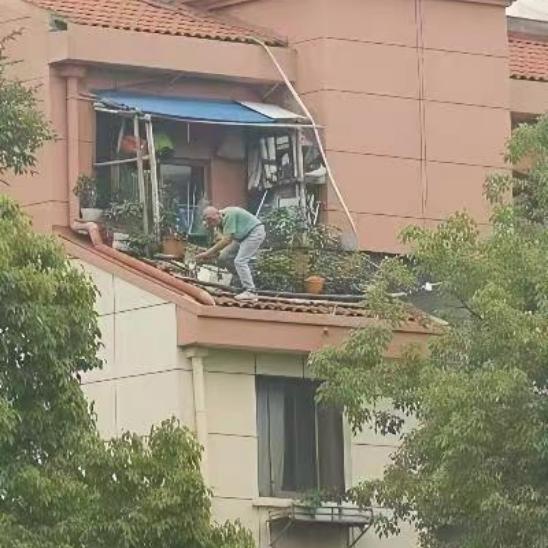真替这位大爷捏一把汗！我就想问一句，这花是非养不可吗？
 
看着他养花的位置，实