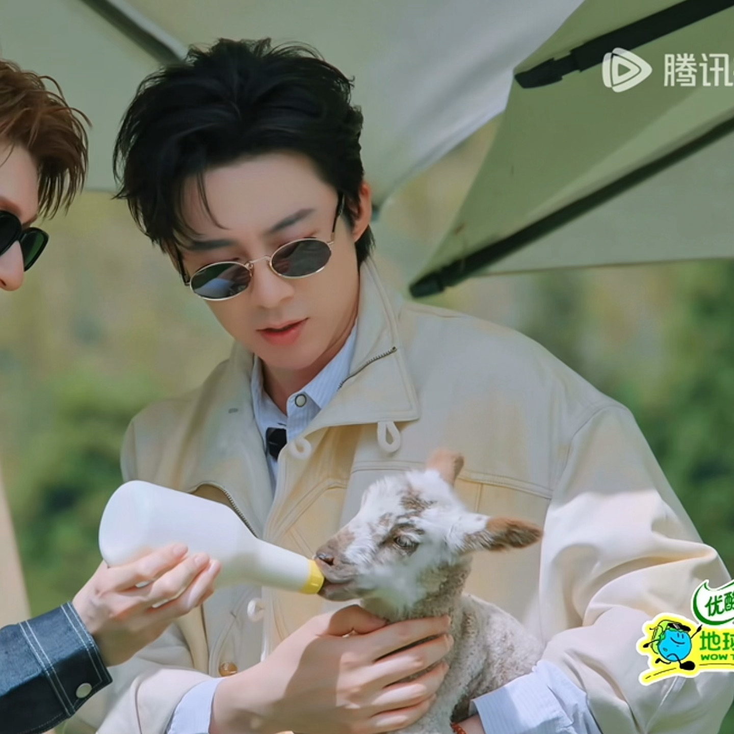 压力给到一只羊🐑？好温柔好苏，手还扶着小羊的脖子刘宇宁地球超新鲜 ，地球超新鲜