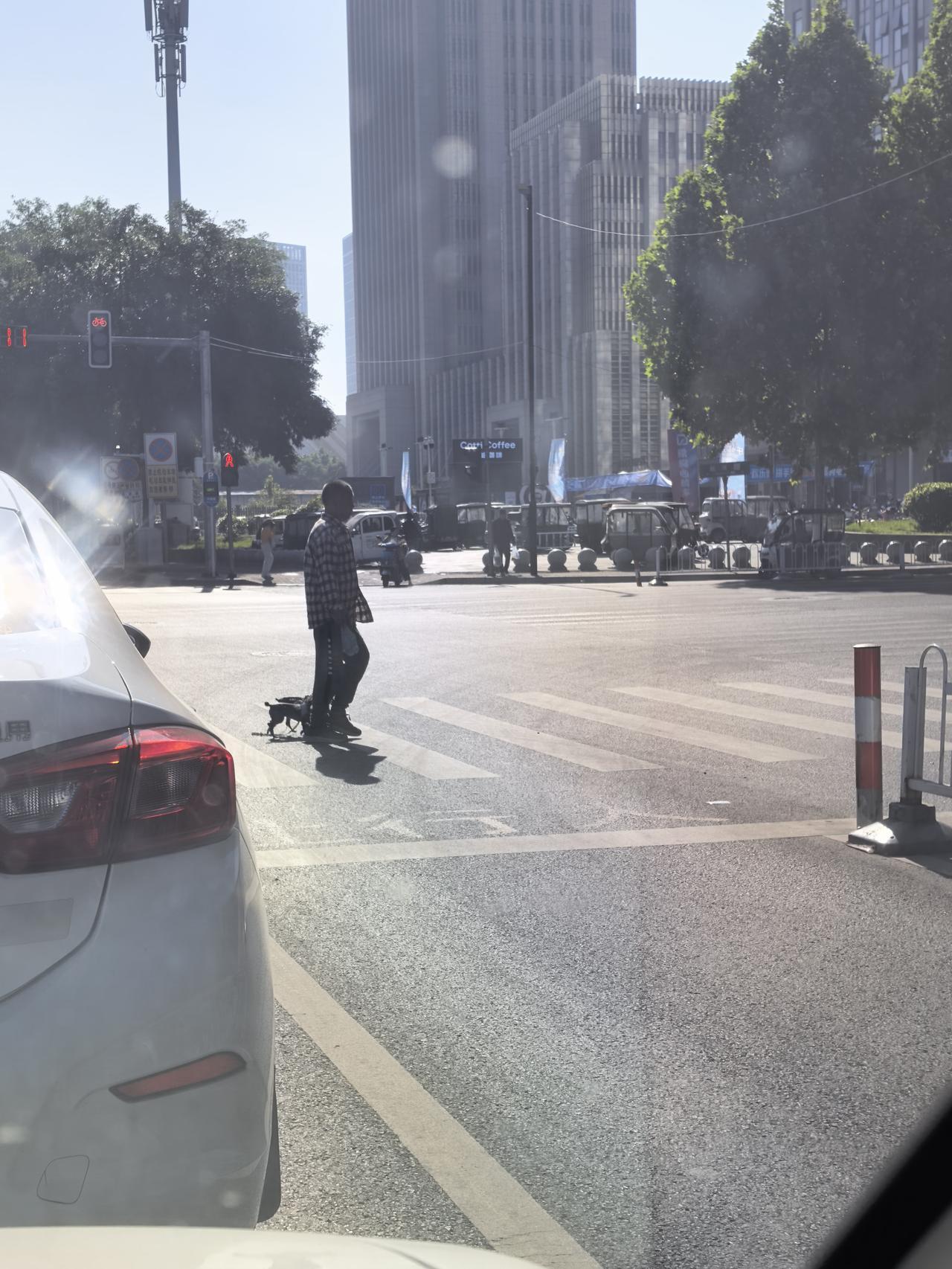 前天上午，在许昌建安区抓拍到一个有趣的场景——

两条乖巧可爱的小狗，亦步亦趋地