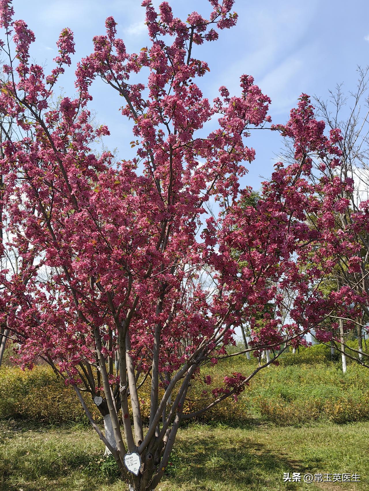 发一张图片，让我猜出你在哪里拍的