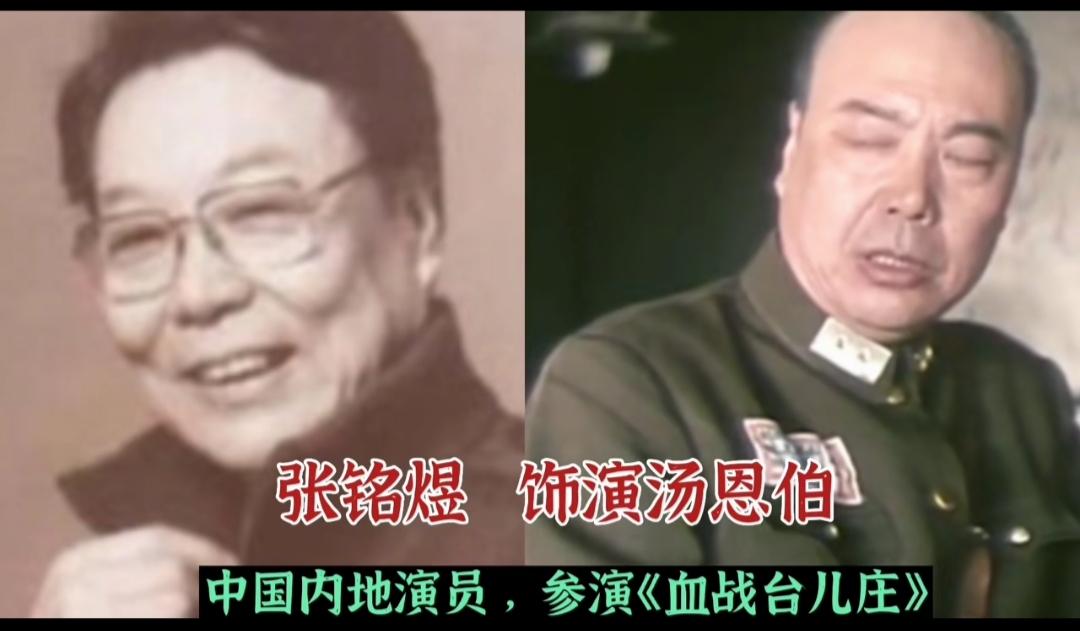 八十年代经典《血战台儿庄》重现台儿庄浴血之战，演员们年华不再，可影片里热血忠魂，