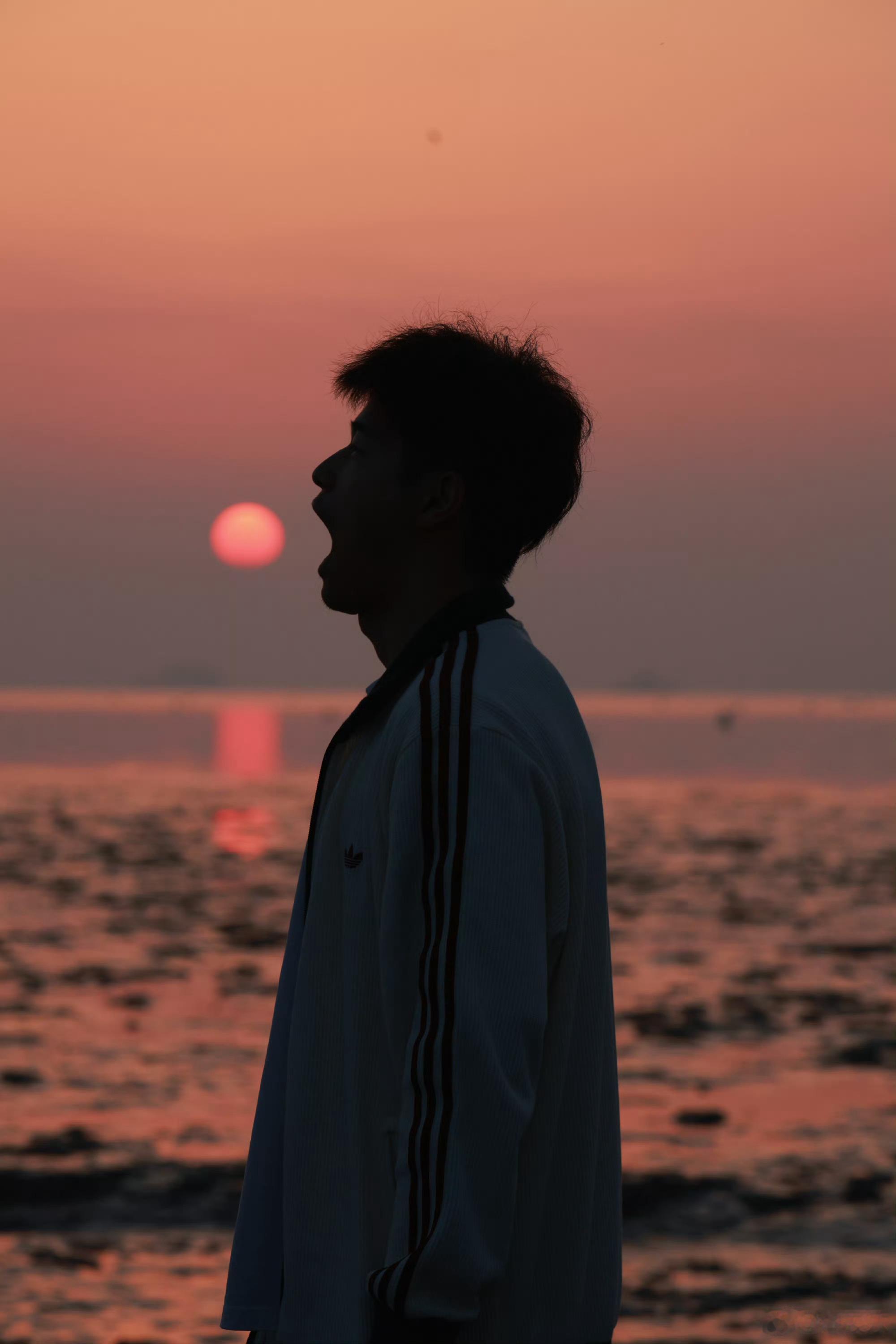 以后孙杨惹我不爽了我就发这个图吃太阳 