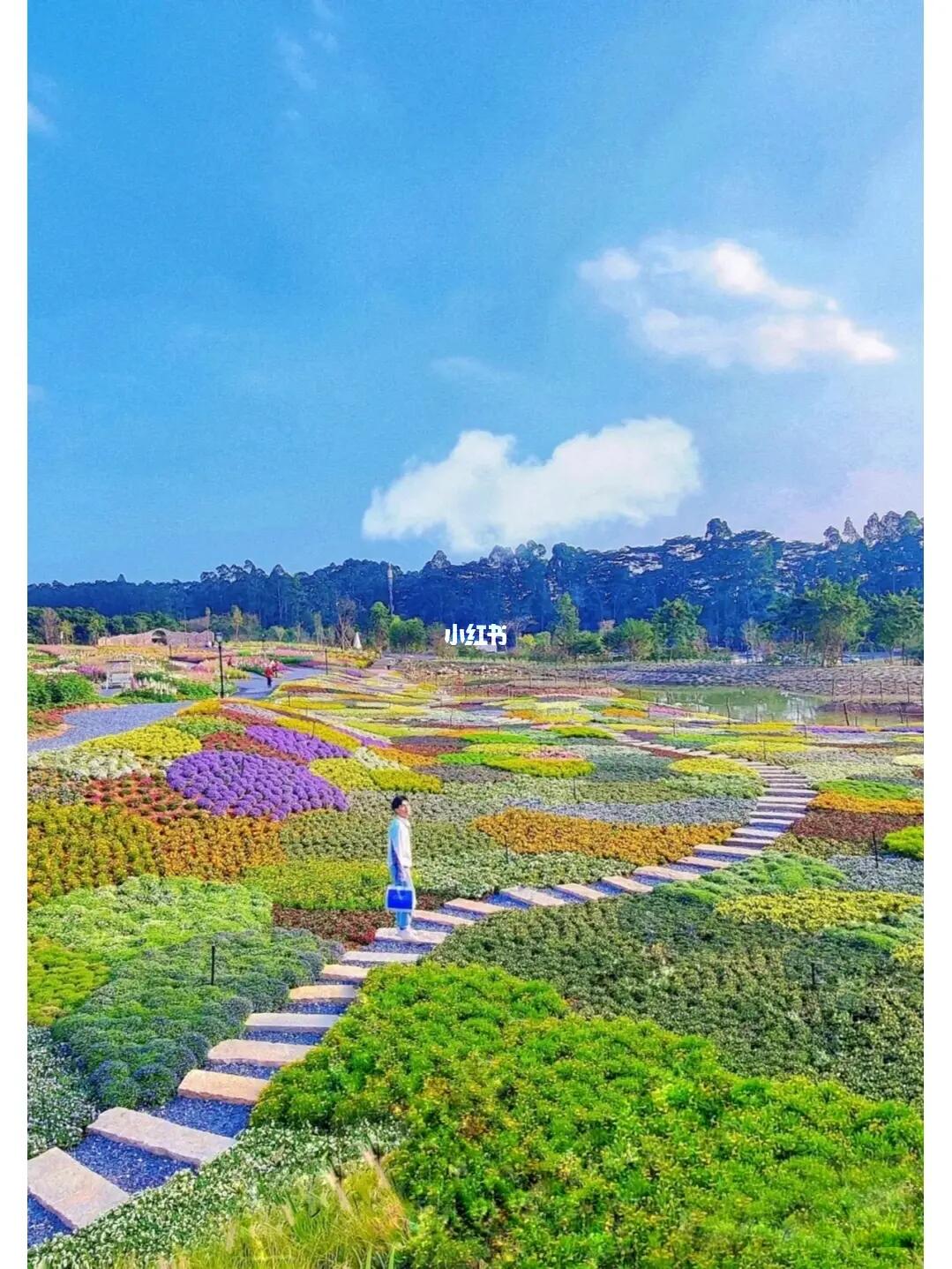 家人们！我找到东莞最像油画的地方啦😇