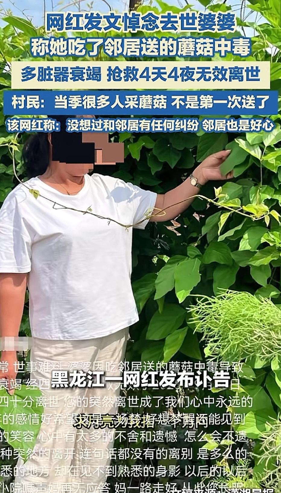 黑龙江这个时节山上会有蘑菇吗？
有女子发文称，婆婆吃了邻居送的蘑菇后中毒，经过四