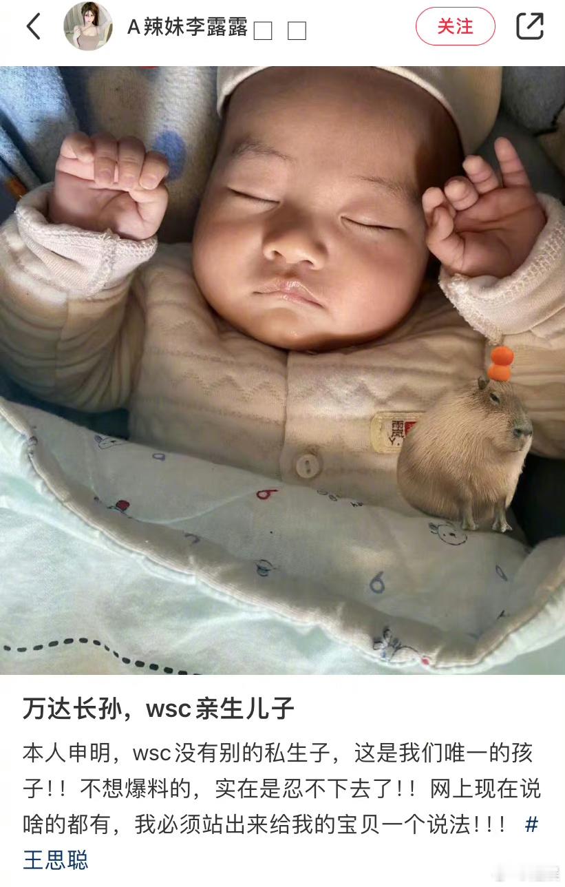 又有网友爆料自己有王思聪的儿子，真的假的[揣手] ​​​