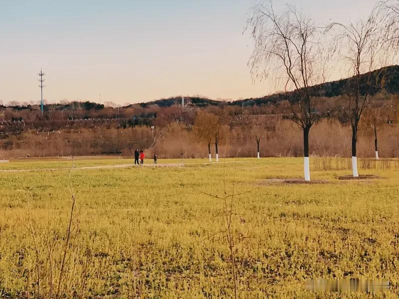 出门踏春啦 今天北方冷空气收尾，气温回升，正是出门踏春的好时机。北方雨雪暂停，阳