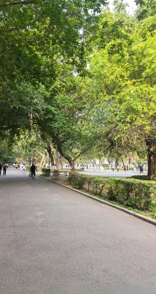 老公昨天跟我说：“七月份你们退休人员养老金又要上涨了”。

说真的我身边好多退休