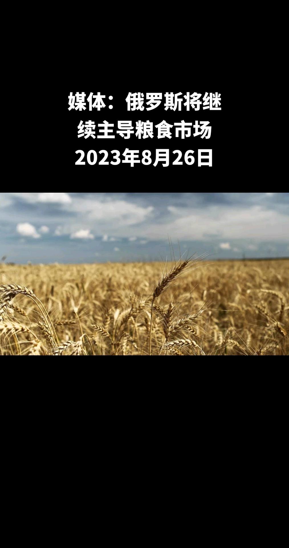 据法国《费加罗报》报道，尽管黑海存在航运问题，但俄罗斯仍将继续在粮食市场占据主导