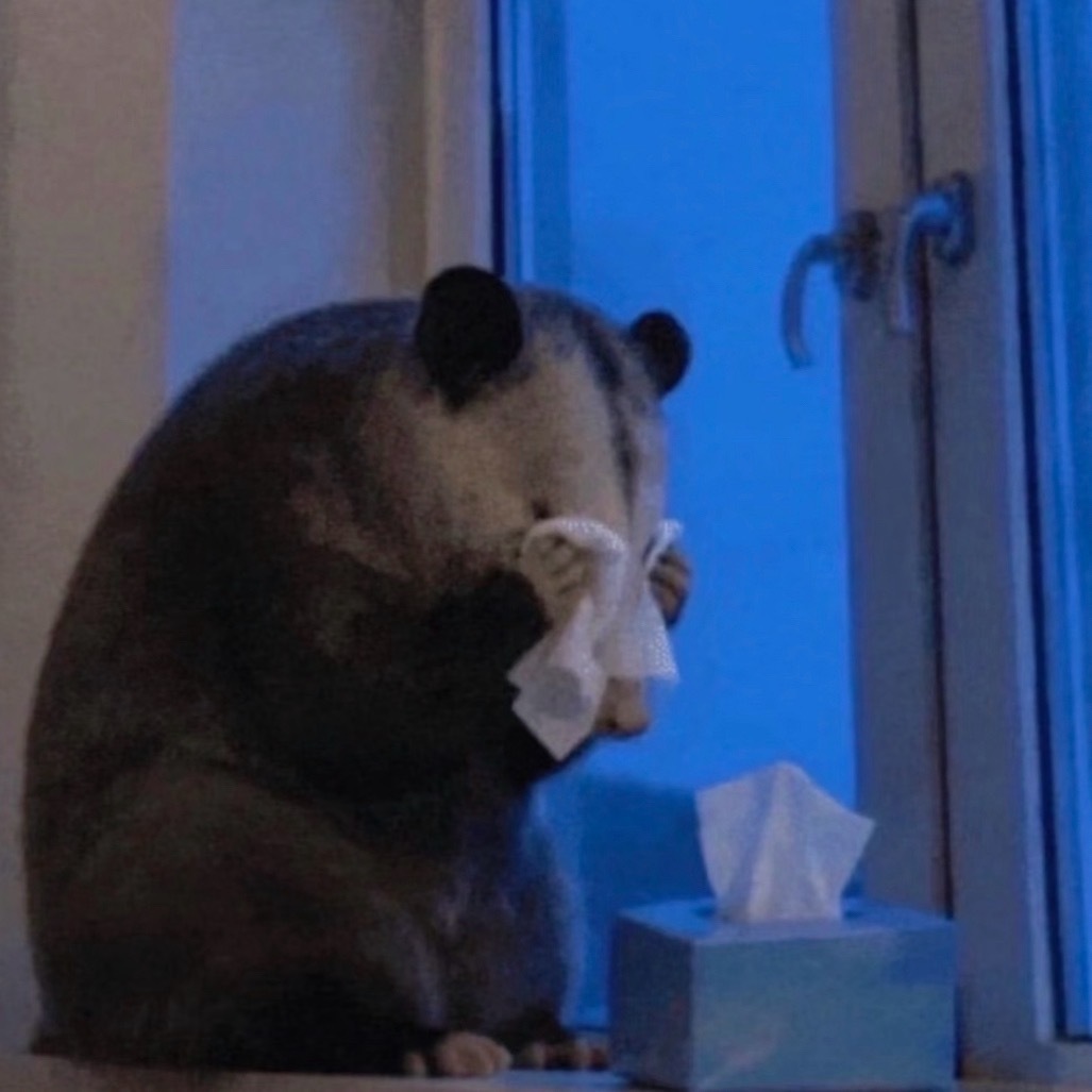 不想干了 ​​​