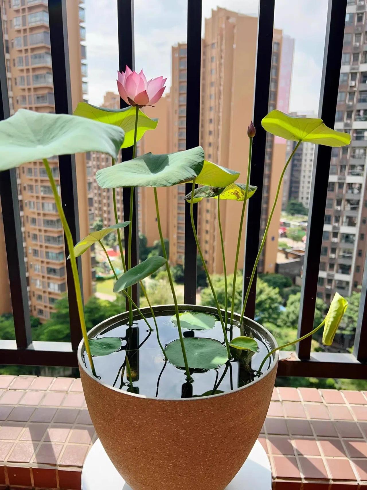 #用镜头记录生活#
用镜头记录一下自己的生活
希望美好
希望无事
希望自在