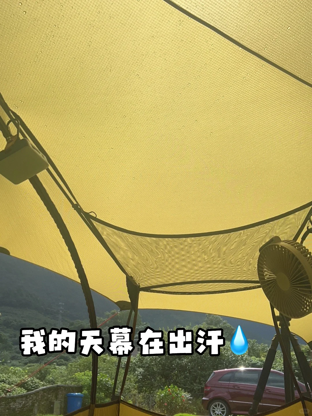 我的天幕在出汗🥵