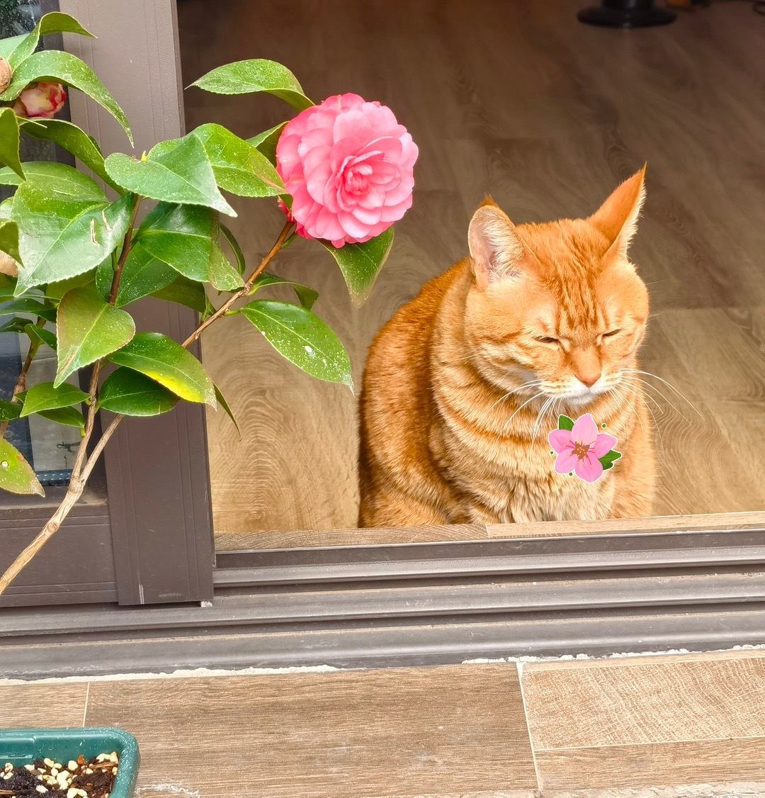 #种一个春天#在春天，种下一个春天🌸[微风]在评论区和小会分享一下「你随手拍到