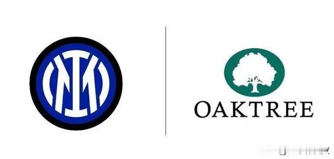 下赛季20支意甲俱乐部有7支被美国掌控：

1、国际米兰：橡树资本
2、AC米兰