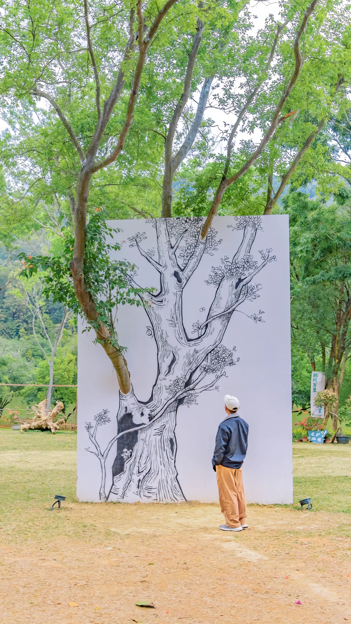 深圳莲花山公园拍照攻略。🌳【深圳莲花山公园】太好拍了！这里有一棵孤独的树，就像一幅画一样🖌️。湖边还有圣诞树，圣诞气氛满满🎄。不仅有草坪可以晒太阳，还有凳子可以坐着玩手机📱。你还可以一览深圳的建筑群体，浪漫与现代结合的绝美风景哦🏙️。 
地址：莲花山公园📍。推荐上午晴天，有光影就好，阴天也有独特的氛围感哦☀️🌧️。 
周末来放风筝或露营吧，享受闹中取静的美好时光🎈🏕️。快来深圳莲花山公园散步吧！
