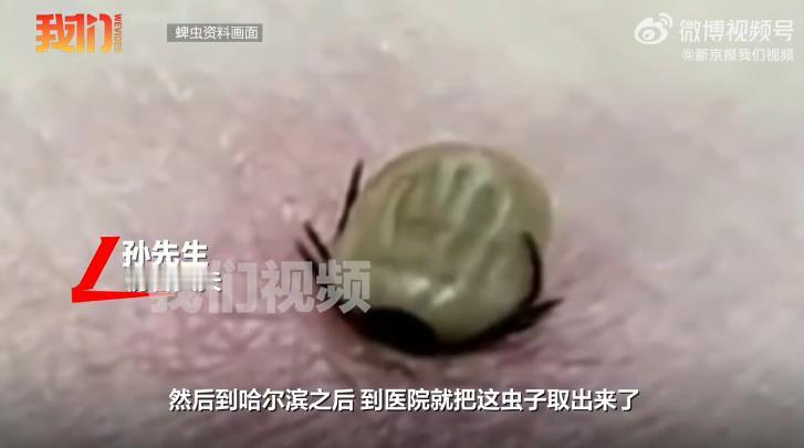 “最担心的事情还是发生了！”黑龙江哈尔滨，29岁女子和丈夫带着宠物狗去伊春游玩，