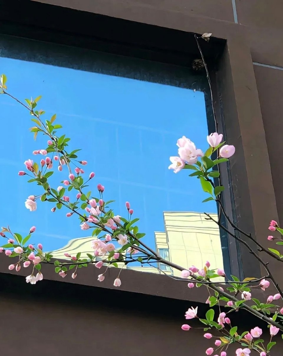  放下焦虑，接纳自己，从容面对一切。 