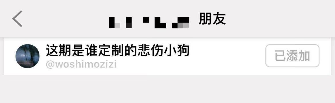 已严肃添加 
