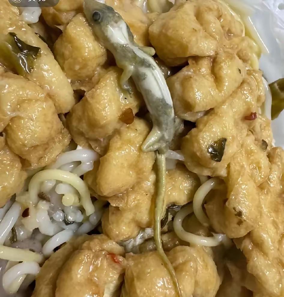 妈呀，这是啥东西呢？太吓人了！[恐惧][恐惧][恐惧]