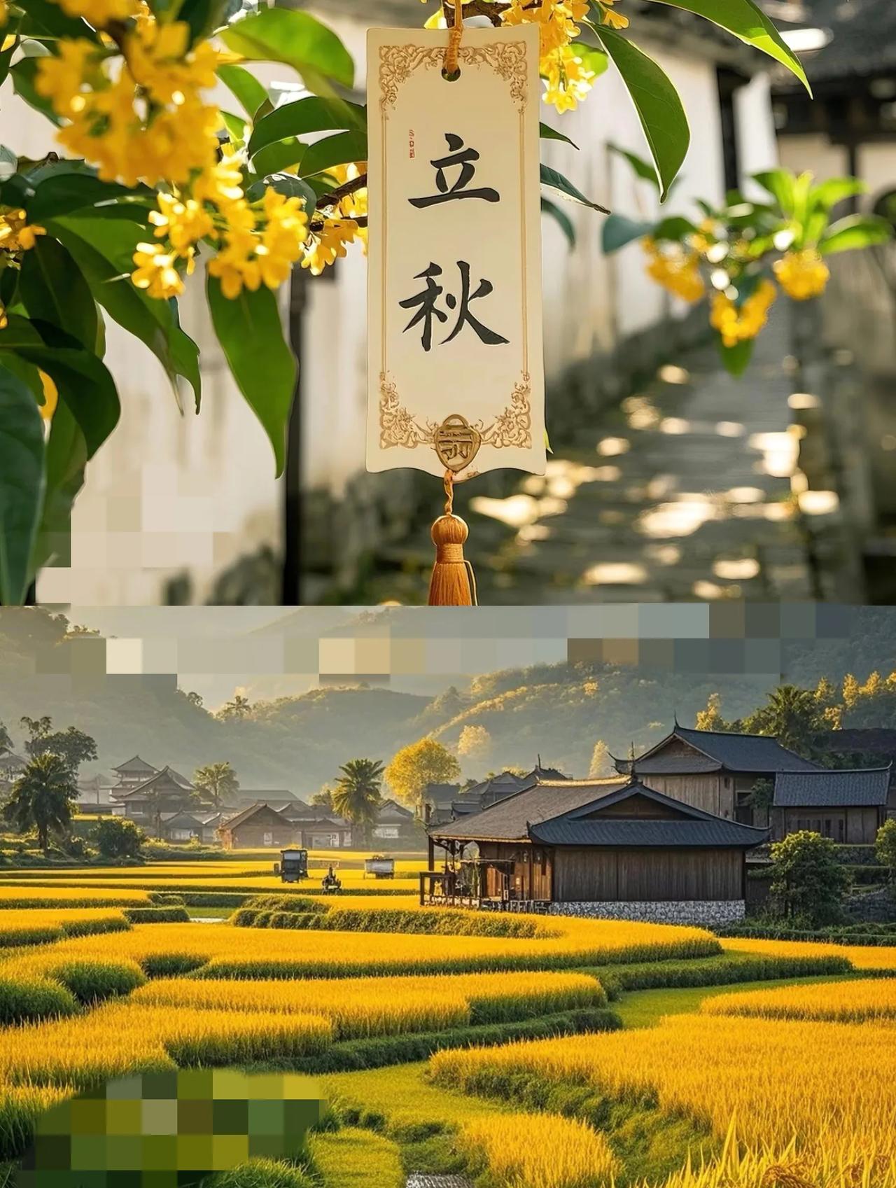 家人们，提前通知下，8月7日下午13点51分19秒就正式立秋啦！
      但