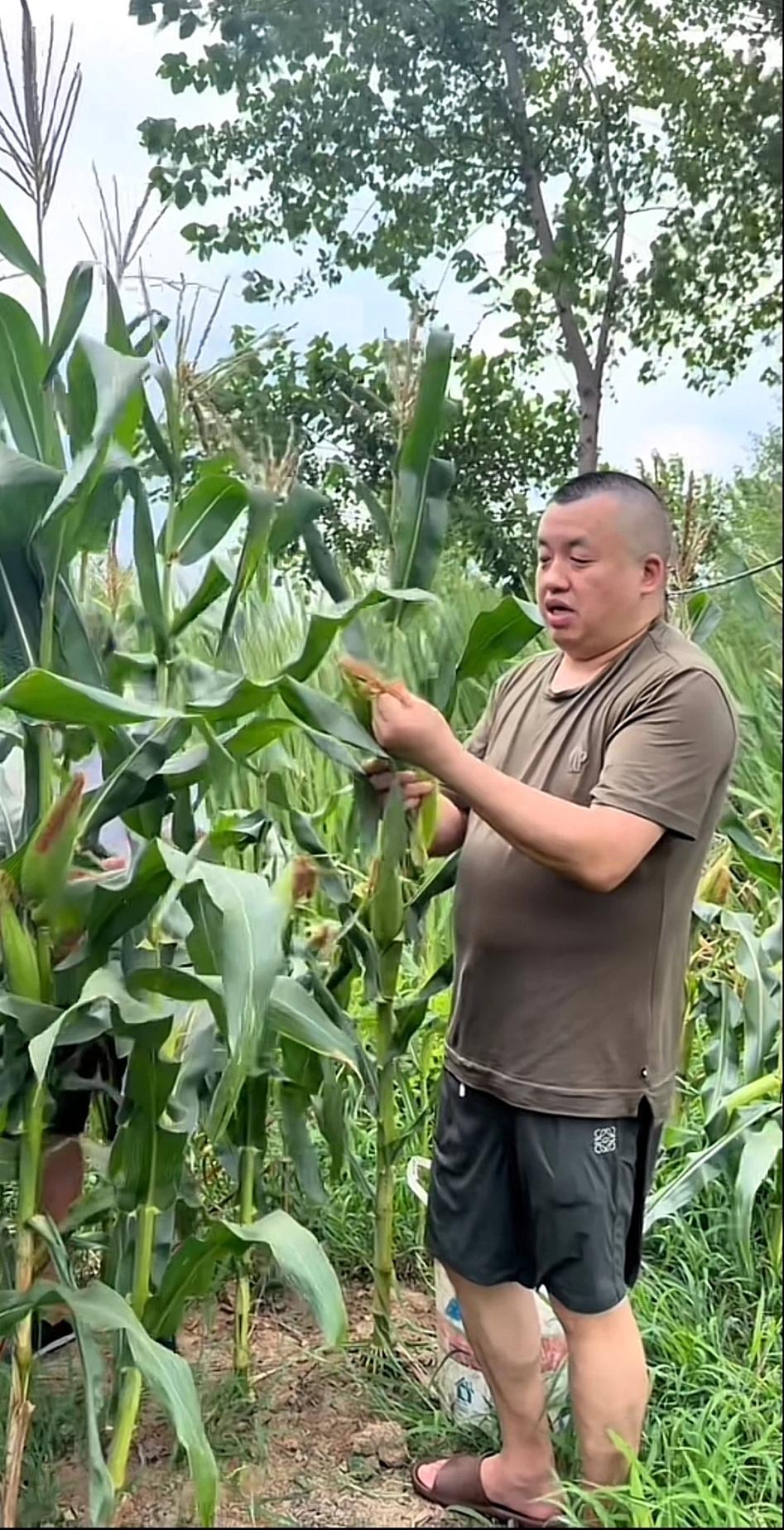 北京坤哥，不计成本，为了吃一个烤玉米，乘坐飞机回到了河南固始县，还让自己的保镖兼