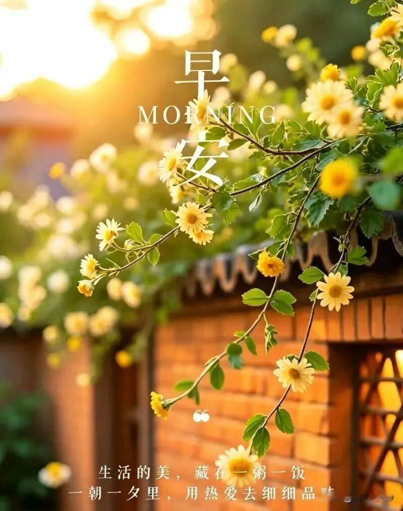 🍎 ²⁰²⁶/₀₄.₁₅🧨ᵕ̈ 🐎🍃🌻🍒🍡
🍃𝐌𝐨𝐫𝐧?