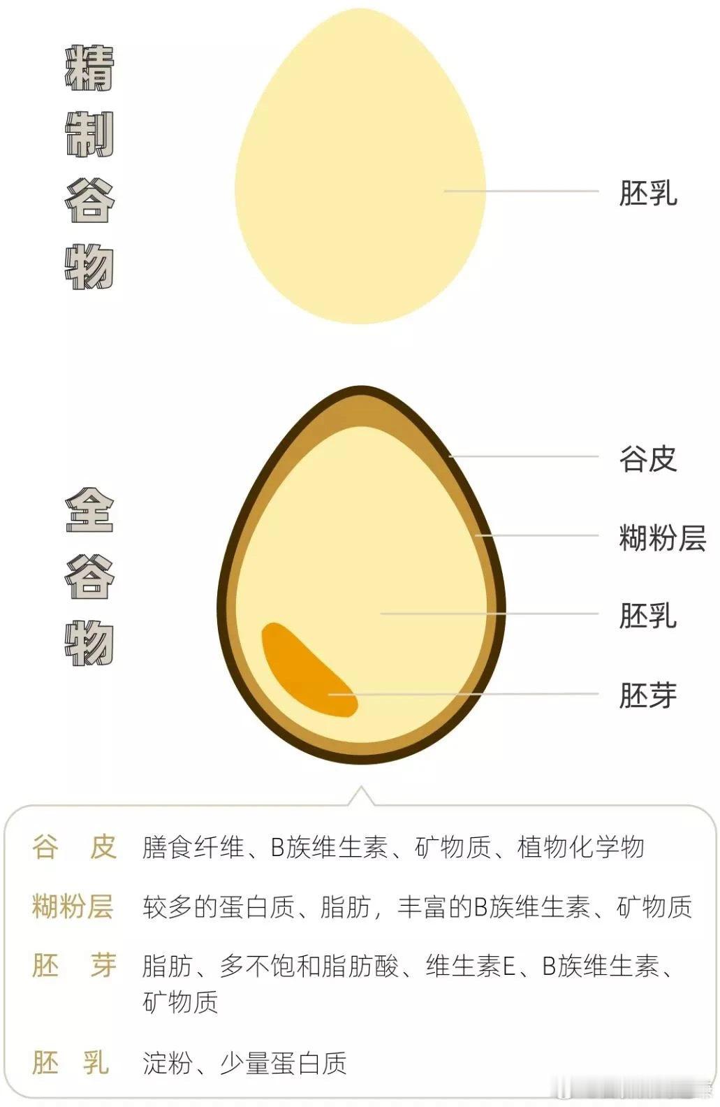  这里跟大家科普一个知识点：📝 粗粮不包括红薯、山药、南瓜……哈～这些都属于淀