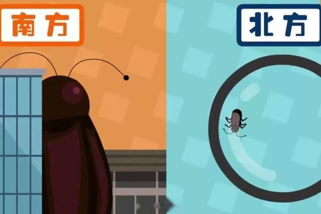 #男子含着蟑螂下馆子敲诈商家被拘# 对自己狠才是真的狠！把作案蟑螂煮一遍，挑出品