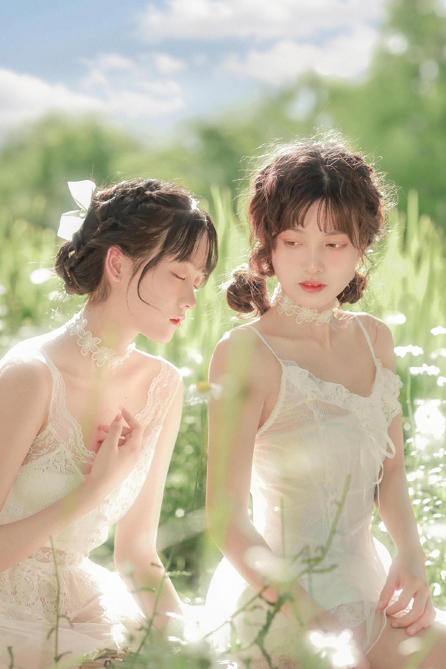 听说雏菊又开了，我还停留在初夏蝉鸣喧嚣的季节里，等一个很久没有出现的人...