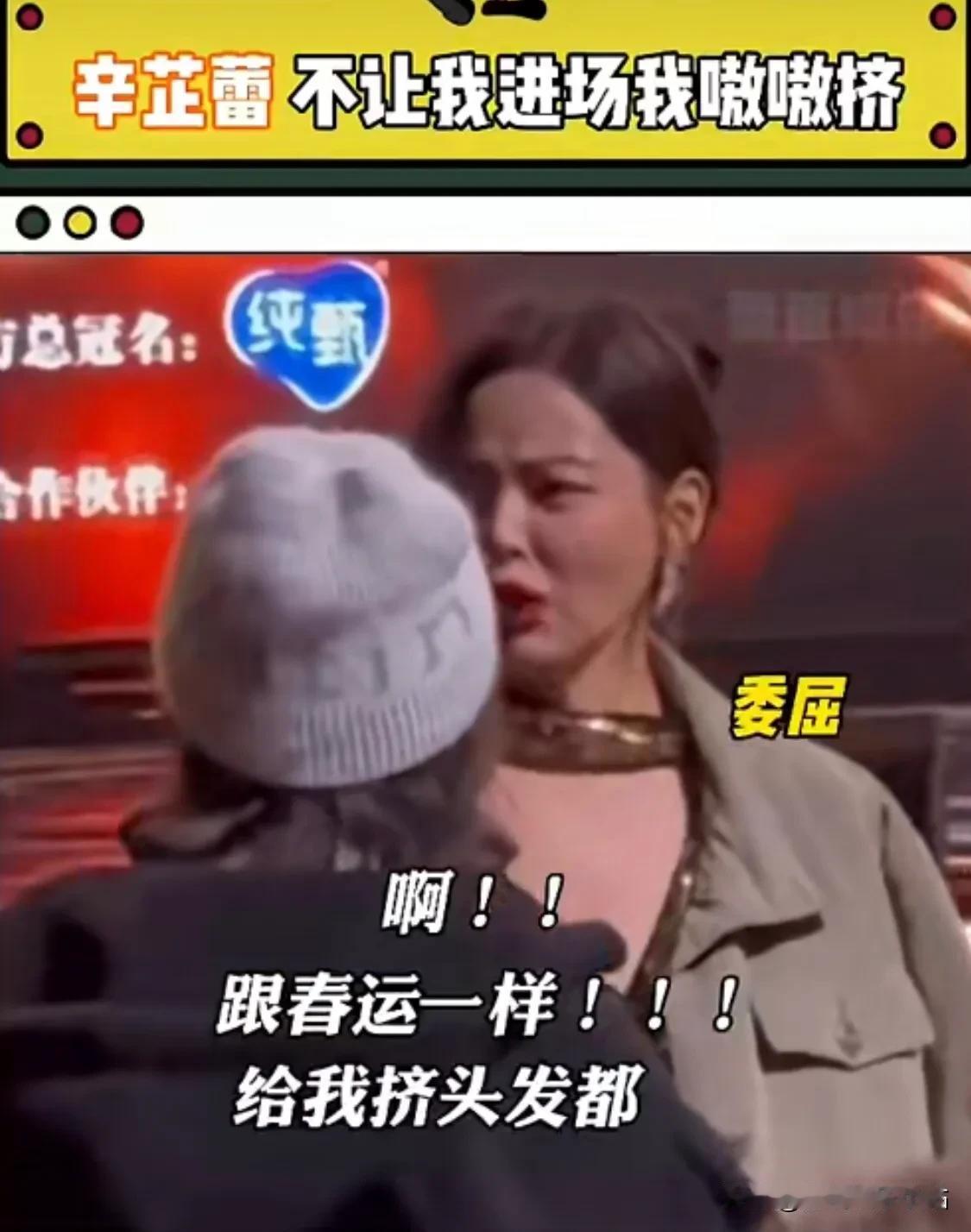 辛芷蕾最新笑话：

微博之夜内场，辛芷蕾跟人说：“我在外面进不来，跟春运似的，我