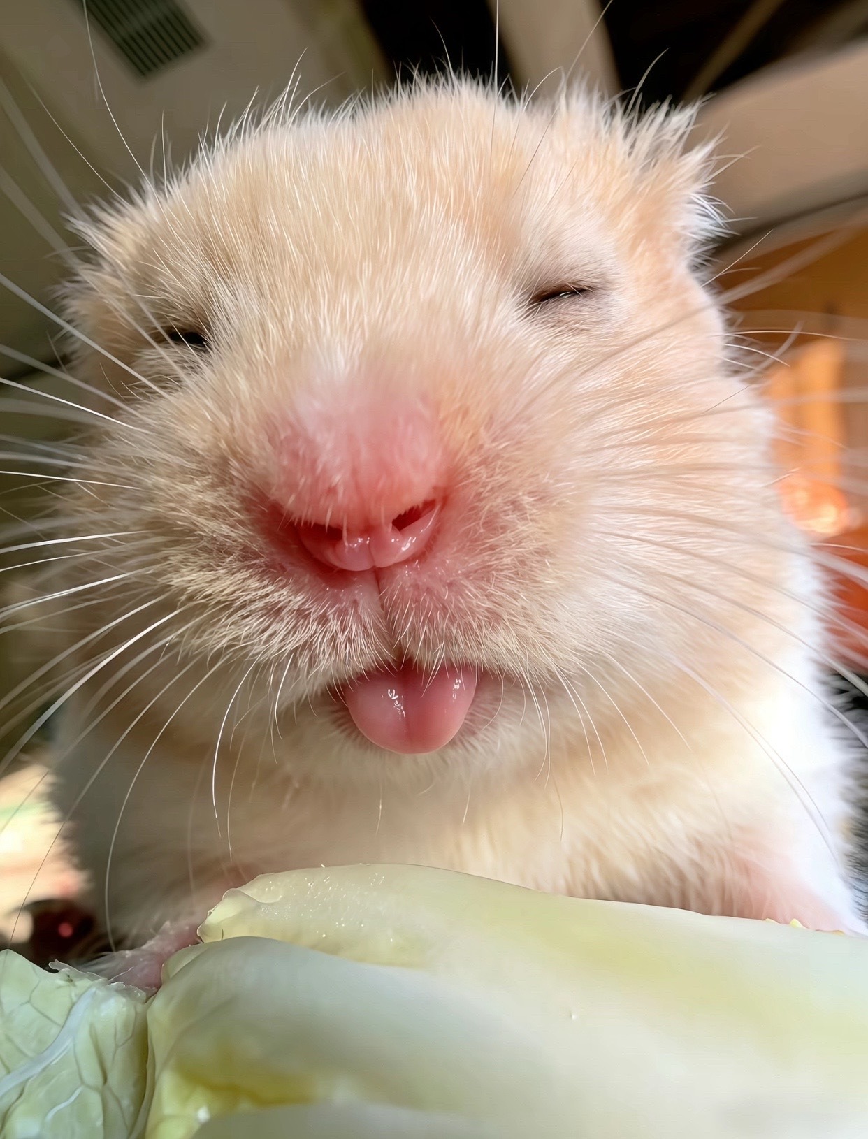 👅meme