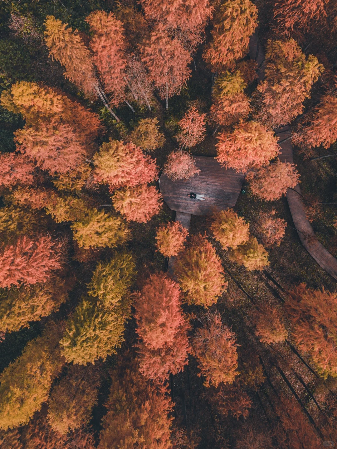 韶关天井山 | 大山深处最后的秋色
