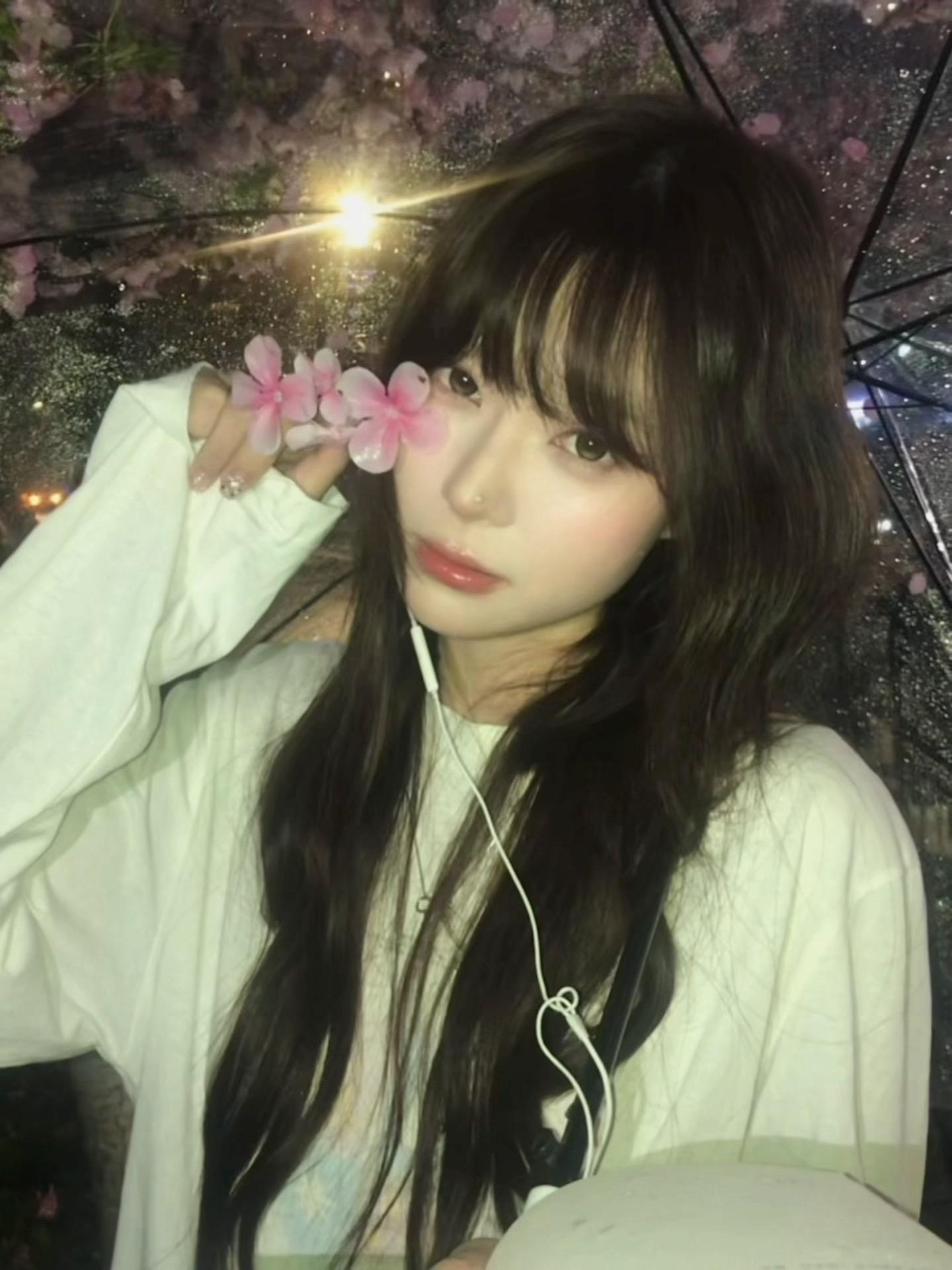 樱花雨