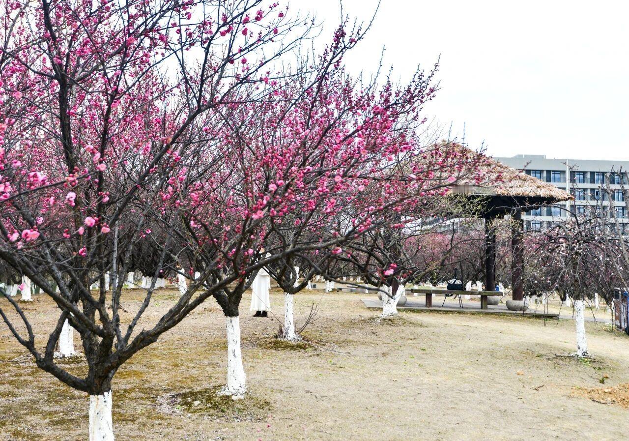 离婚的女人，过年到底能去哪里？

网上看到一个女人说自己离婚一年了，公婆的老家，