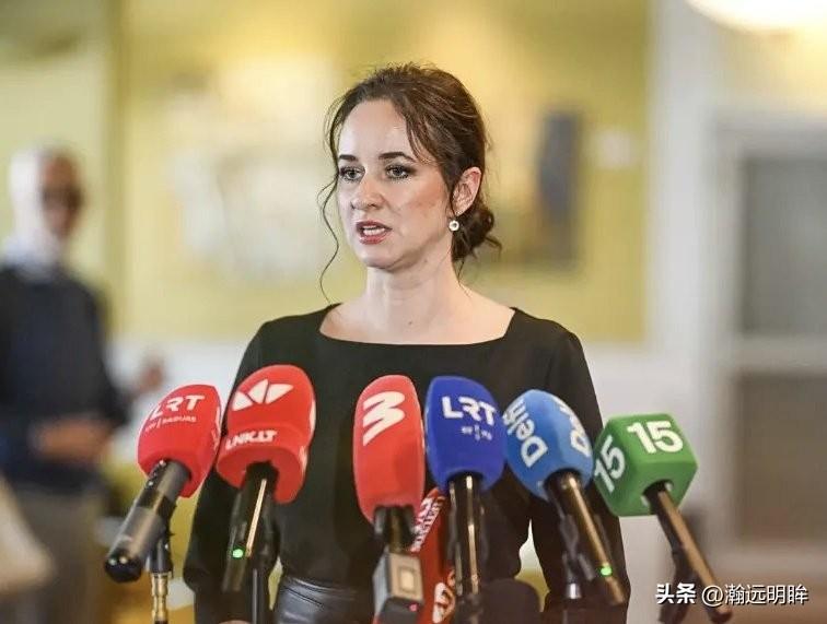 据《波罗的海时报》消息，立陶宛国内在对华政策问题上出现了令人啼笑皆非的“高层分歧