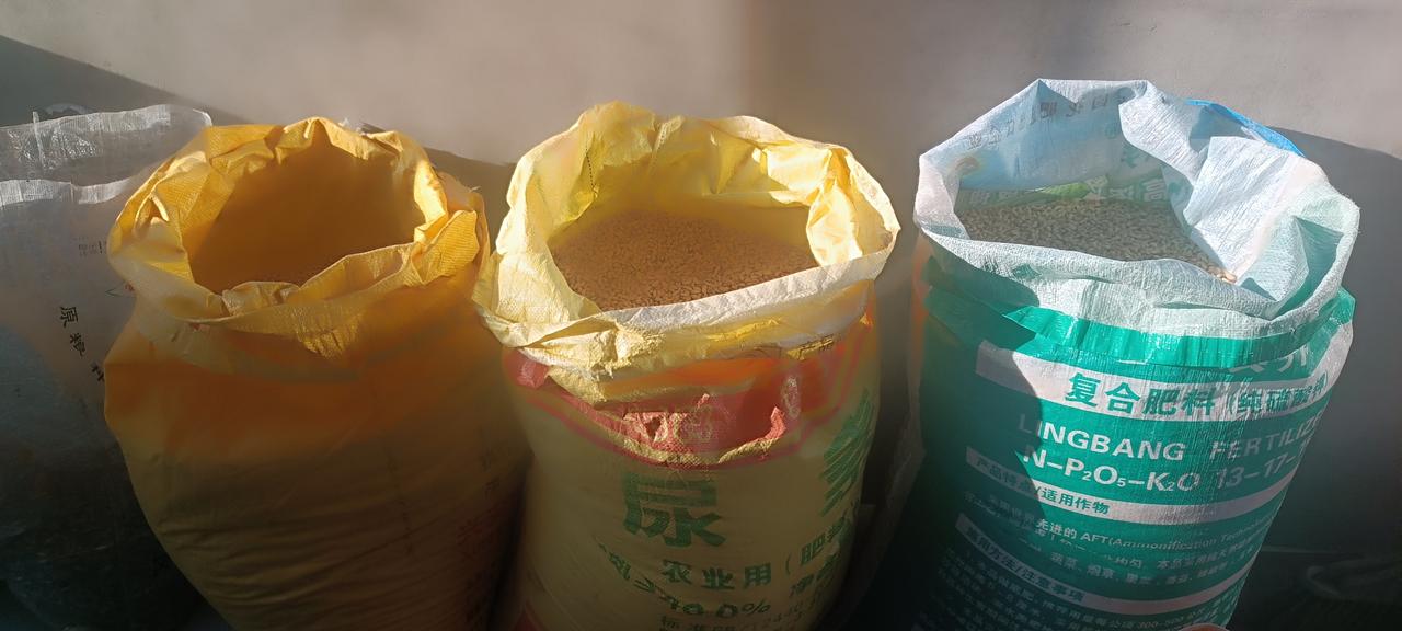 这三袋豇豆能卖4500元钱，你信吗？不信也得信，因为是事实。我哥家前园子种的，1