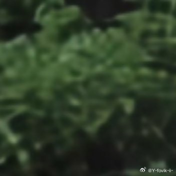 2200人生的路经历过，才知道有短有长；岁月，在无憾中微笑，才美丽；回过头，想着