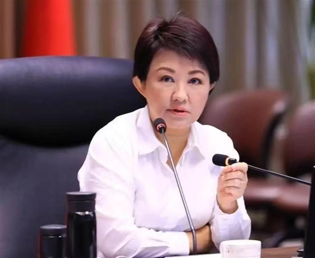 国民党台中市长之争，罪魁祸首终于曝光了，民众党要员说出大实话

国民党台中市长初