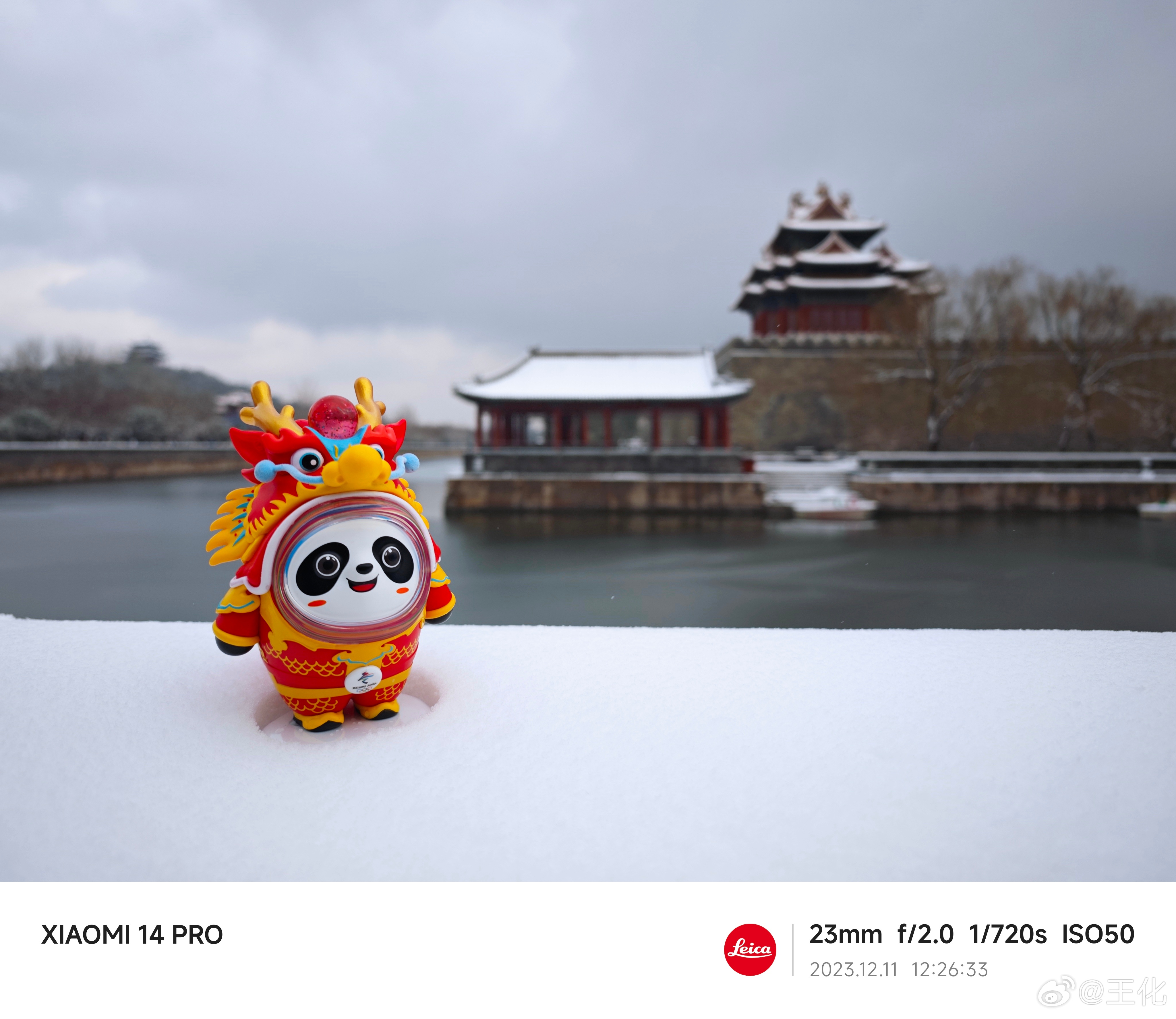 再给大家补一组#北京下雪# 的美图，虽然我今天没时间去拍，虽然今天故宫闭馆，但是