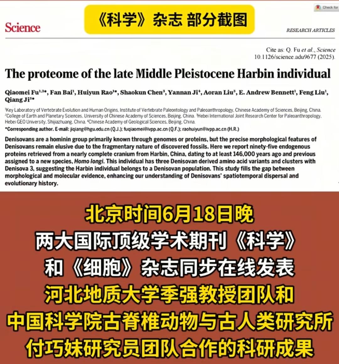 在百万年前发现龙的头骨，
与人的头骨相似，莫非我们是龙的后代？
果然十二生肖里面