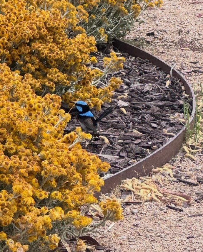 王俊凯发了好多好多图王俊凯ins文案王俊凯发了好多好多图 