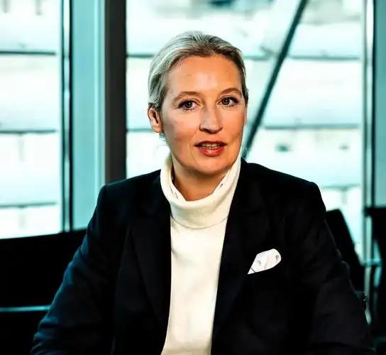 德国选择党（AfD）联合主席魏德尔近期公开呼吁，德国应停止利用财政预算供养超百万