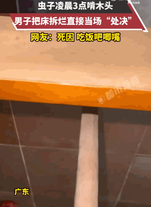 “士可忍孰不可忍！”广东，一男子凌晨三点正睡得香，突然被一阵“嘎吱嘎吱”的异响吵