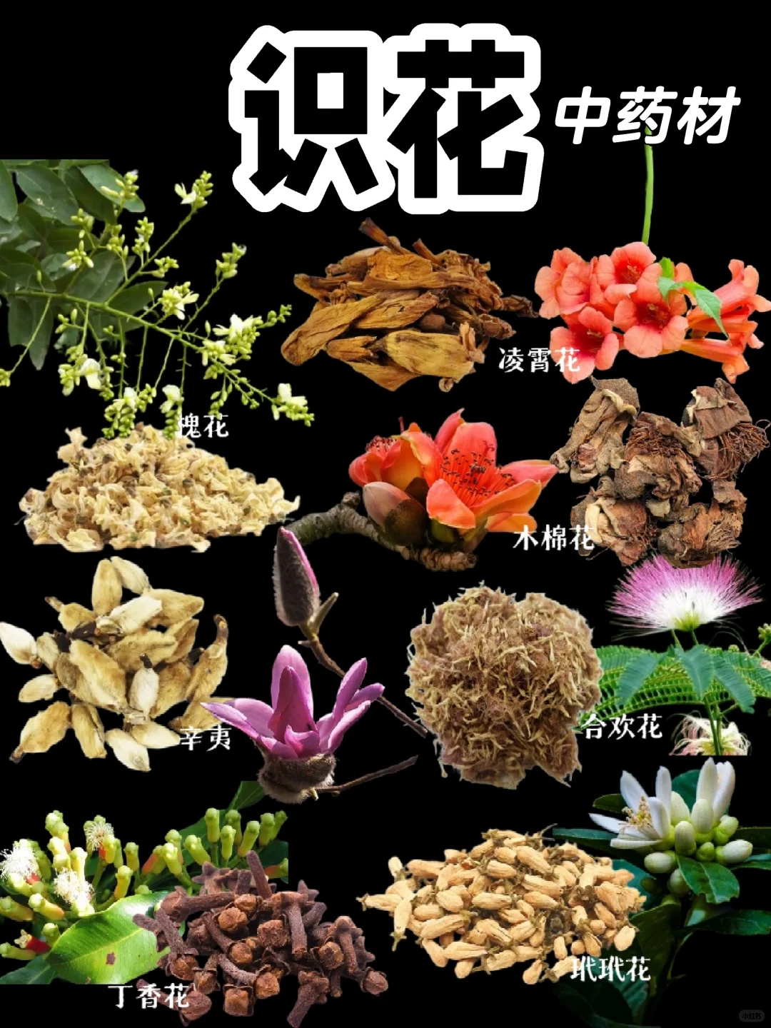 【识花】原来这些花作用这么大