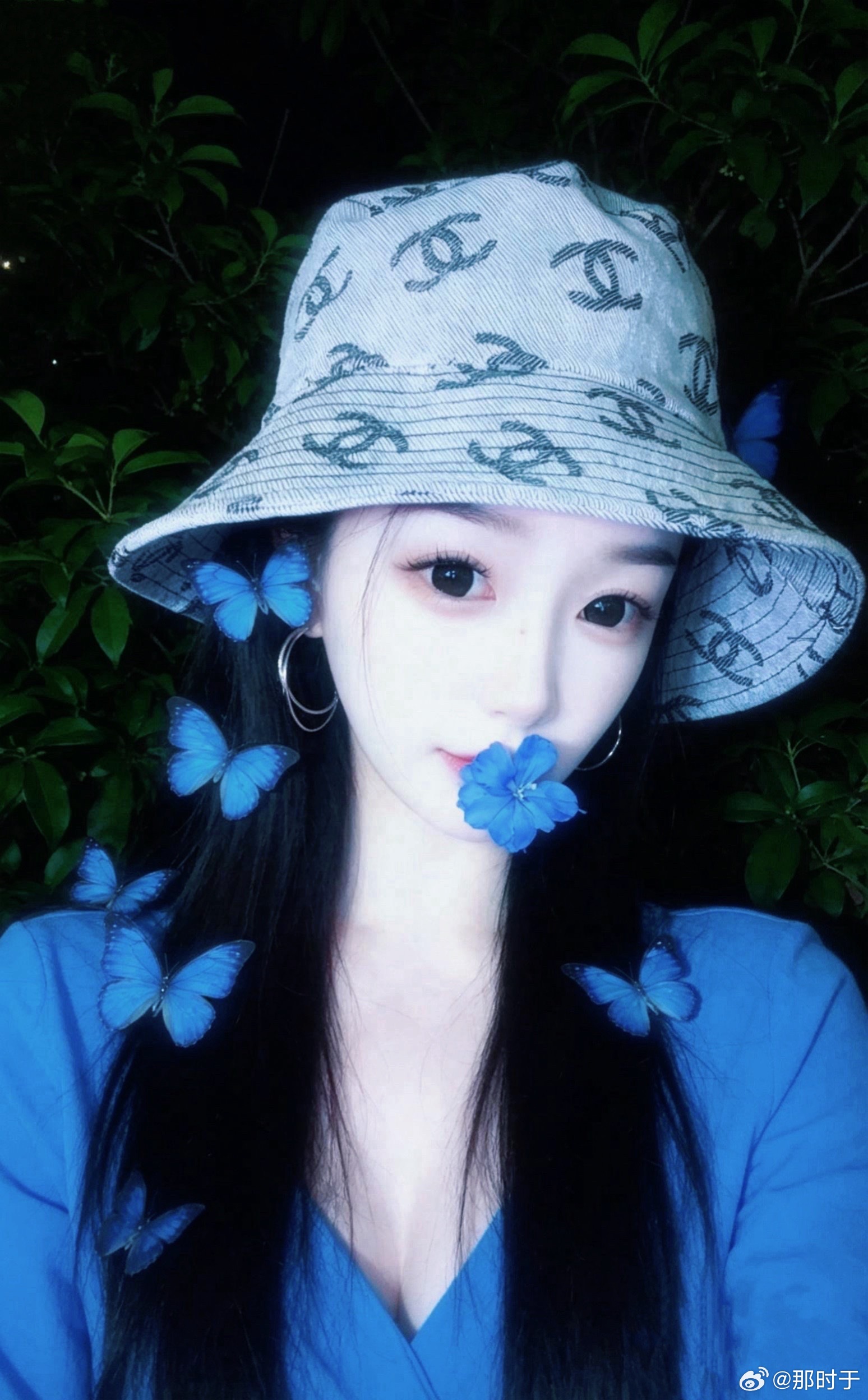 风可以吹起一张白纸，却无法吹走一只蝴蝶，因为生命的力量在于不顺从。 