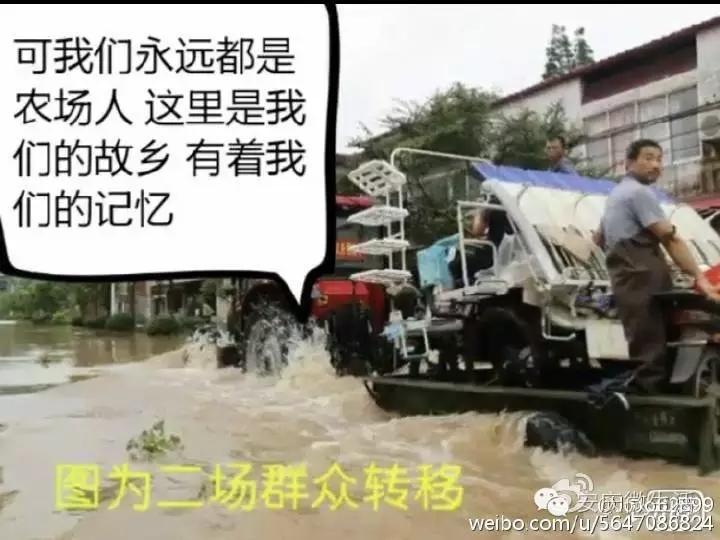 2016，那场洪水，刻在农场人骨血里的记忆
 
2016年，是我这辈子都忘不掉的