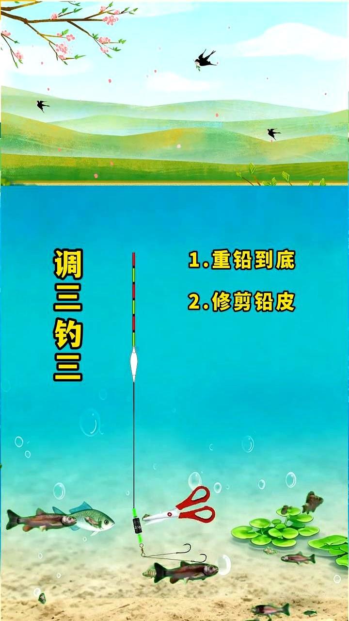 调三钓三，为什么你的漂总没顿口，还老是往上顶？

别再瞎调了。你以为上钩触底了，
