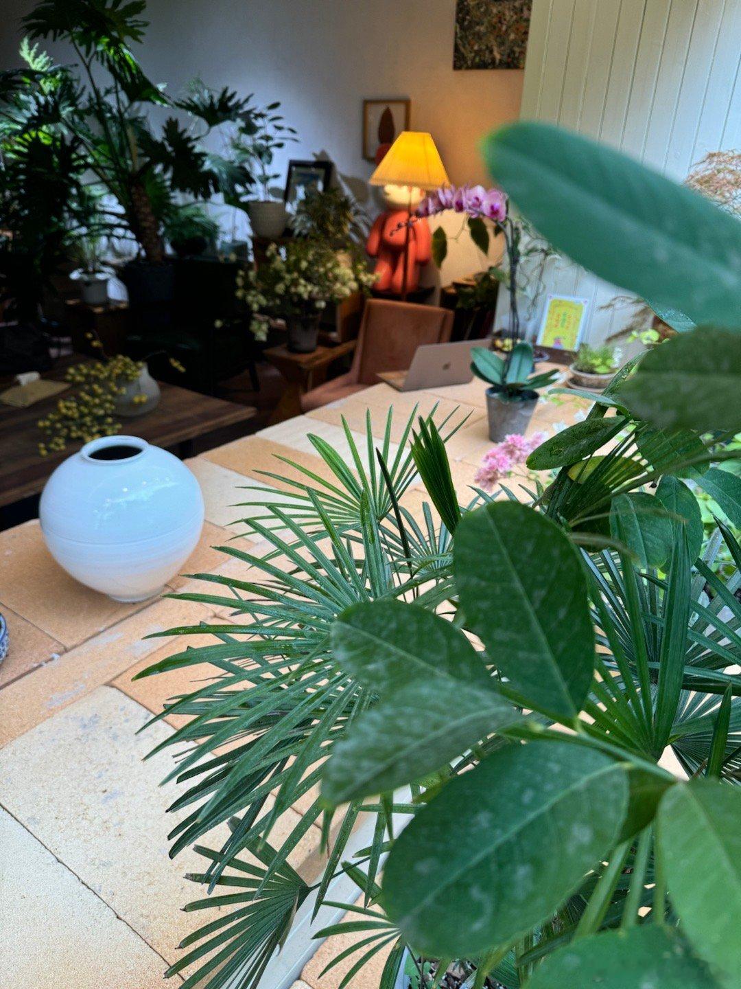 今天的工作环境也太好了，假期余额不足的焦虑略微减轻。 ​​​