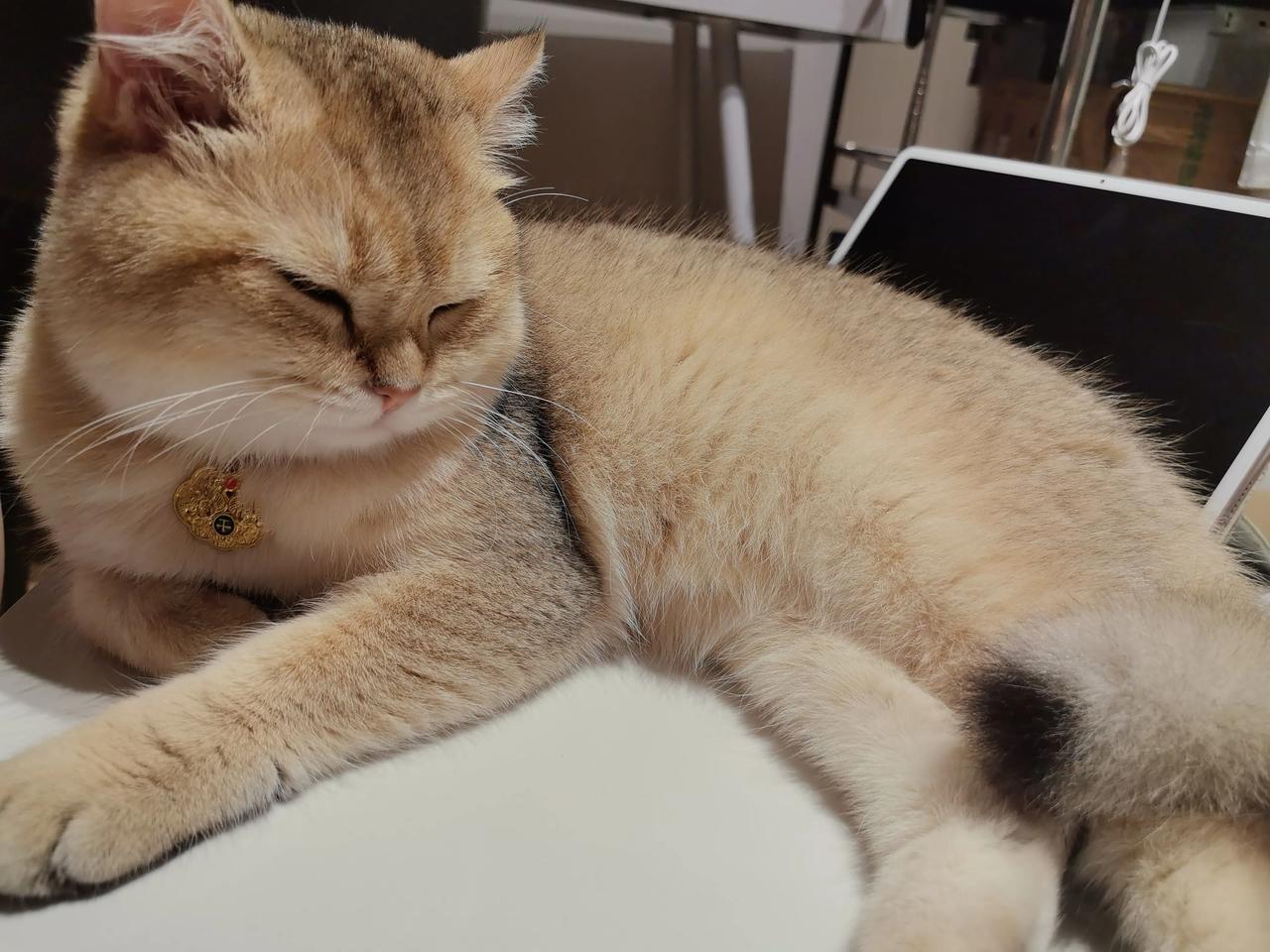 请问期货在哪里开户