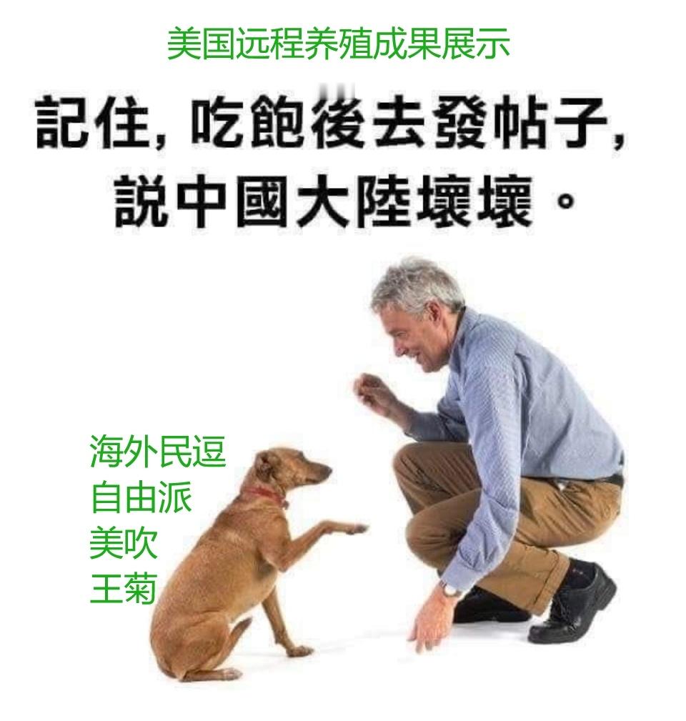 平时微博上那几个平时特别活跃，张口正义闭口自由的公知殖虫且美吹教授，面对美国学潮