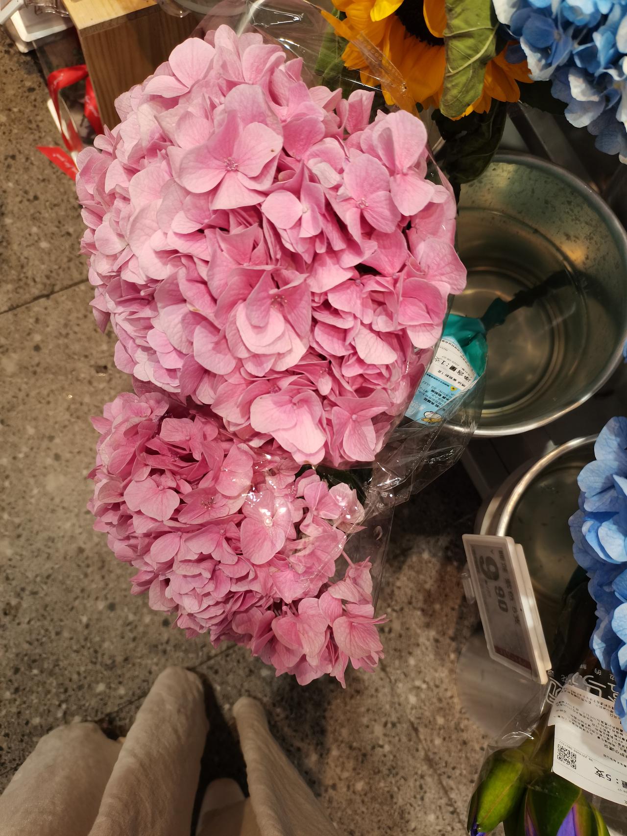 又恢复一个人住了，
今天给儿子送到了老娘那，
晚上回来格外清净。
下周台风连续几